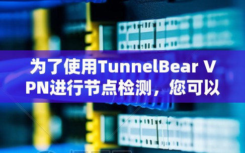 为了使用TunnelBear VPN进行节点检测，您可以按照以下步骤操作