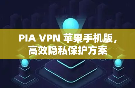PIA VPN 苹果手机版，高效隐私保护方案