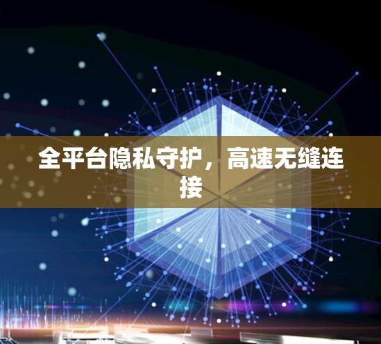 全平台隐私守护,高速无缝连接 全平台隐私守护,高速无缝连接