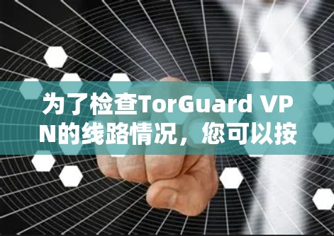 为了检查TorGuard VPN的线路情况,您可以按照以下步骤进行