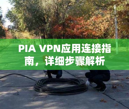 PIA VPN应用连接指南，详细步骤解析