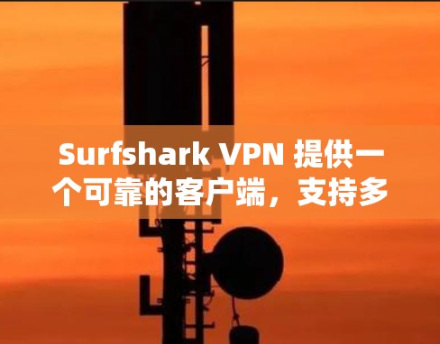 Surfshark VPN 提供一个可靠的客户端，支持多种平台，包括 Windows、macOS、iOS、Android 等。以下是关于 Surfshark VPN 客户端的一些关键信息