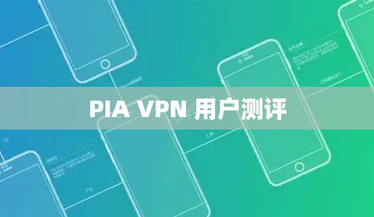 PIA VPN 用户测评