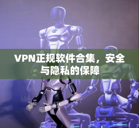 VPN正规软件合集，安全与隐私的保障