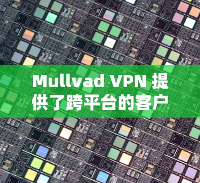 Mullvad VPN 提供了跨平台的客户端，用户界面简洁，功能强大，支持多种连接选项。以下是一些推荐的客户端优化使用方法