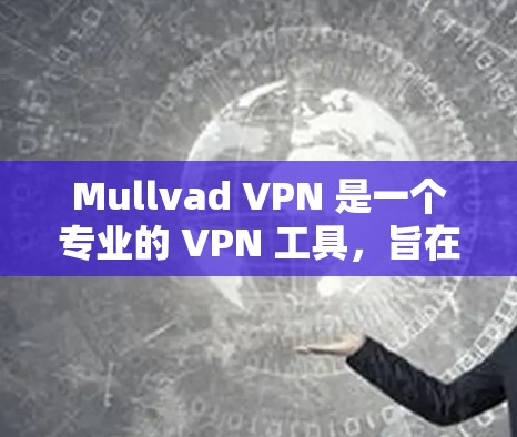 Mullvad VPN 是一个专业的 VPN 工具，旨在为用户提供高效、安全的网络连接服务。以下是对 Mullvad VPN 的详细评测
