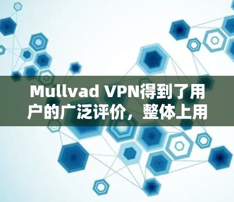 Mullvad VPN得到了用户的广泛评价,整体上用户对其隐私保护和安全性给予高度评价。以下是对Mullvad VPN的详细分析
