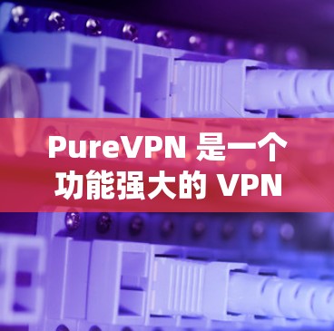 PureVPN 是一个功能强大的 VPN 服务，适合需要匿名上网、保护隐私和安全用户。以下是对 PureVPN 的详细评价