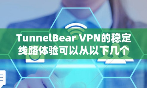 TunnelBear VPN的稳定线路体验可以从以下几个方面进行分析