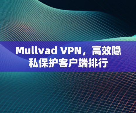 Mullvad VPN，高效隐私保护客户端排行