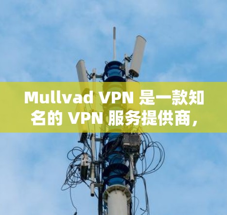 Mullvad VPN 是一款知名的 VPN 服务提供商，提供高性能和高安全性的网络连接。以下是关于 Mullvad VPN 的真实速度体验的一些关键点