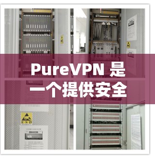 PureVPN 是一个提供安全 VPN 服务的工具，旨在帮助用户保护隐私和安全。以下是一些关于 PureVPN 的详细信息