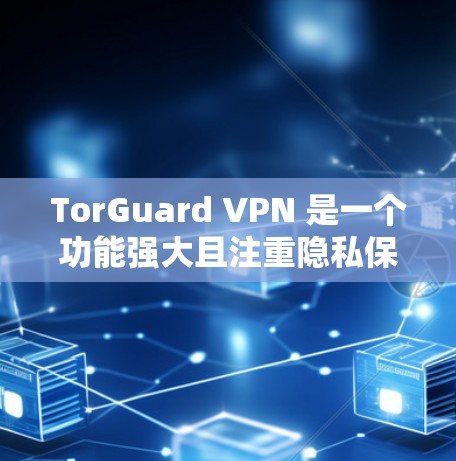 TorGuard VPN 是一个功能强大且注重隐私保护的VPN服务,适合需要安全连接的用户。以下是对其的详细分析