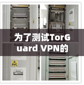 为了测试TorGuard VPN的线路稳定性，可以按照以下步骤进行