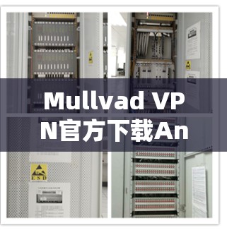 Mullvad VPN官方下载Android版，安全隐私保护的最佳选择