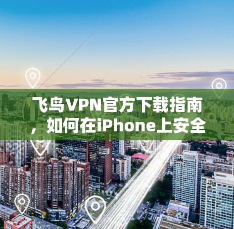 飞鸟VPN官方下载指南,如何在iPhone上安全安装飞鸟VPN应用