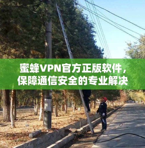 蜜蜂VPN官方正版软件，保障通信安全的专业解决方案