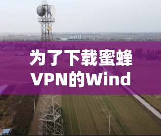 为了下载蜜蜂VPN的Windows版,请按照以下步骤操作