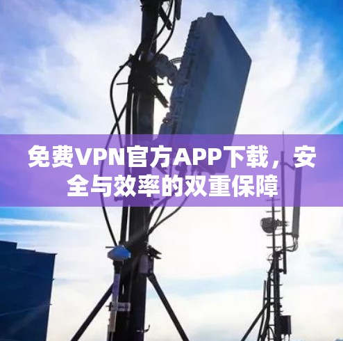 免费VPN官方APP下载,安全与效率的双重保障
